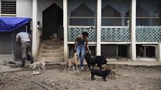 Portoriko v polovin záí 2017 zdevastoval hurikán Maria. Lidé staili utéct,...