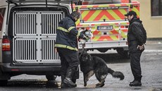Místo požáru si prohlédl i policejní pes zaměřený na takzvané akceleranty...