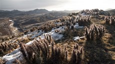 Náhorní ploina ve výce 5500 m.n.m. v pohoí Kunlun