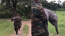 Předčasně narozeného sloníka zachránili před jistou smrtí