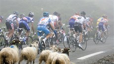 Hlavní favorité Tour de France roku 2010 v ele s Alberto Contadorem ve lutém...