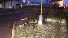 Pokácený váno�ní strom ve Velkém B�ezn�.