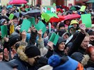 Symbolem podpory Antonína Jalovce byly zelené karty v rukou demonstrant.