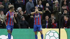 Andros Townsend z Crystal Palace (vpravo) lituje spálené ance proti...