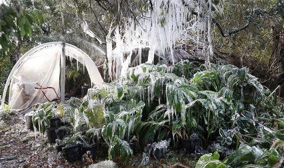 Neobvykle chladné poasí zasáhlo i Floridu (3. ledna 2018)