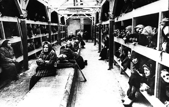 V táboře zahynulo 1,1 milionu lidí z nichž přibližně 90 % byli Židé prakticky...