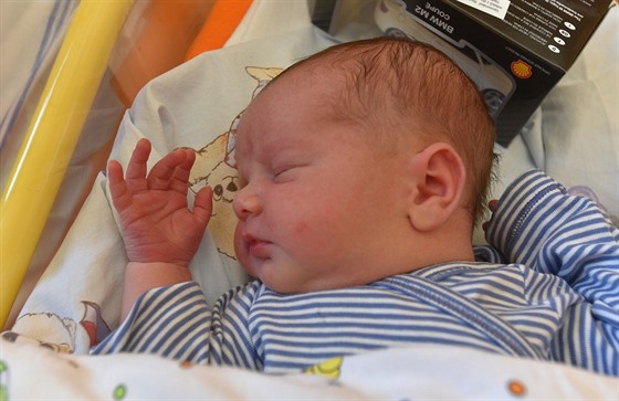 Prvním díttem narozeným v roce 2018 v Ústeckém kraji je Jakub Hrabal, narodil...