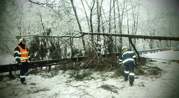Hasii odstraovali strom z vozovky v Adamov na Trutnovsku (3.1.2017).