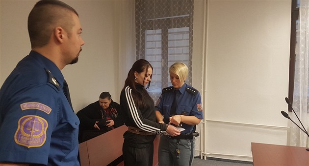 Sedmadvacetileté en z Lotyska hrozí za pokus o vradu a 18 let vzení. (8....