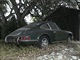 Pod stromem u cesty se roky skrvalo odloen Porsche