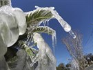 Teploty pod nulou trápí i Floridu (leden 2018)