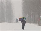 Sněžení si v Číně vyžádalo již deset obětí. Na mnoha místech nefunguje...