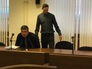 Ji Sdovsk u Krajskho soudu v Hradci Krlov (9.1.2018).