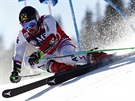 Rakouský lya Marcel Hirscher na trati obího slalomu v Adelbodenu