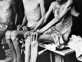 V táboře zahynulo 1,1 milionu lidí z nichž přibližně 90 % byli Židé prakticky...