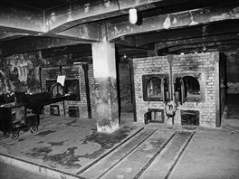 Většina obětí byla zavražděna v plynových komorách areálu Auschwitz II plynem...