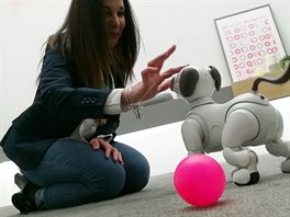 Robopes Aibo.