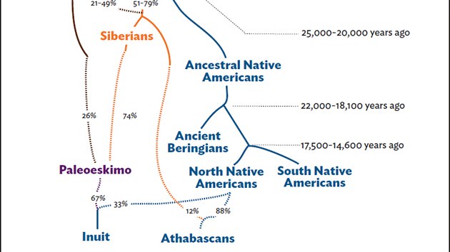 Vvojov linie pvodnch obyvatel Ameriky. Sta Berinan se vydlili asi ped 20 000 lety.