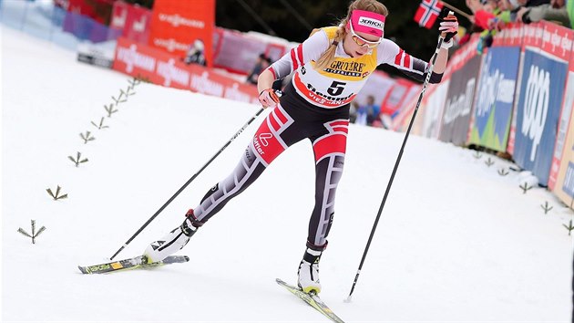 Rakušanka Teresa Stadloberová na trati závodu Tour de Ski v italském Val di Fiemme