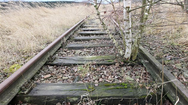 Koleje na nepoužívané trati do Polné už zarostly travou, keři a stromy. Podle starosty Dobronína Ivana Sehnala se zde dobře daří koroptvím.