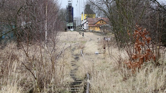 Starosta Polné Jindřich Skočdopole už několik let žádá Správu železniční dopravní cesty o opravu kolejí. Ta však zvažovala prodej zrušené trati.