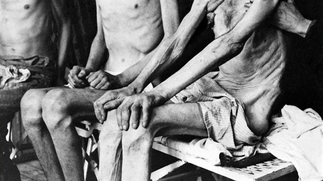 V táboře zahynulo 1,1 milionu lidí z nichž přibližně 90 % byli Židé prakticky ze všech evropských států