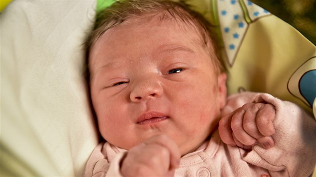 Prvnm dttem narozenm v roce 2018 v Praze je Elika Kaparov (na snmku z 1. ledna 2018). Narodila se dv minuty po plnoci v porodnici Fakultn nemocnice Motol.