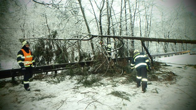 Hasii odstraovali strom z vozovky v Adamov na Trutnovsku (3.1.2017).
