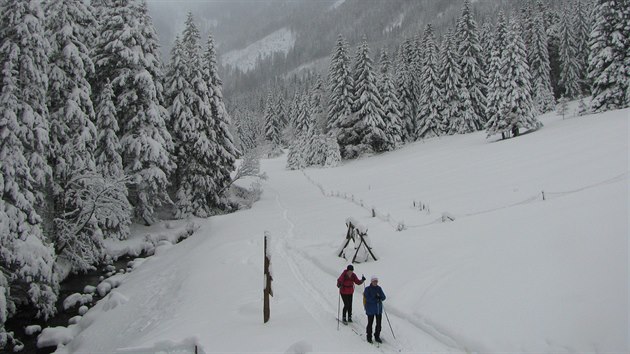 Bkai pobl krkonosk Boudy pod Snkou (4.1.2017).