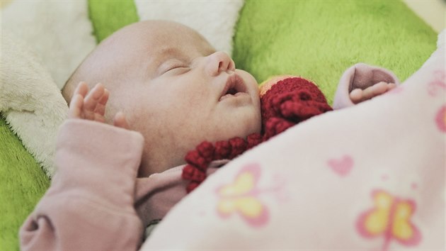 V plzeňské fakultní nemocnici se po dvou letech narodila trojčata. Jmenují se Ella, Emma a Anna.  (4. 1. 2018)