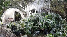 Neobvykle chladné poasí zasáhlo i Floridu (3. ledna 2018)