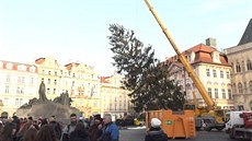 Praské adventní trhy skonily pokácením vánoního stromu