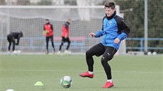 Plze�ský zálo�ník Václav Pila� v úvodu zimní p�ípravy na um�lé tráv�.