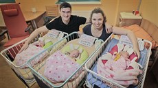 V plzeské fakultní nemocnici se po dvou letech narodila trojata. Jmenují se...