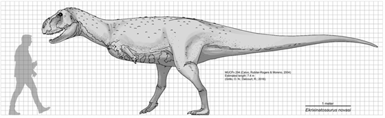 Porovnání velikosti ekrixinatosaura a dosplého lovka. Tento rod patil mezi...