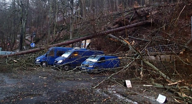 Vítr v Karlovarském kraji lámal stromy, ty spadly na nkolik aut.