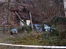 Vtr v Karlovarskm kraji lmal stromy, ty spadly na nkolik aut.
