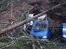 Vtr v Karlovarskm kraji lmal stromy, ty spadly na nkolik aut.