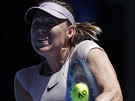 Ruska Maria arapovová ve druhém kole Australian Open.