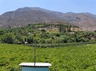 Panorama Valle de Limari s vinohrady