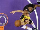 Tyler Ennis (ve zlatém) z LA Lakers zakonuje na ko Sacramenta pes De'Aarona...