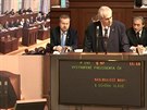 Meninovou vládu ANO piel podpoit Milo Zeman