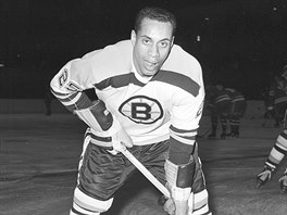 Willie ORee bhem psoben v dresu Boston Bruins.