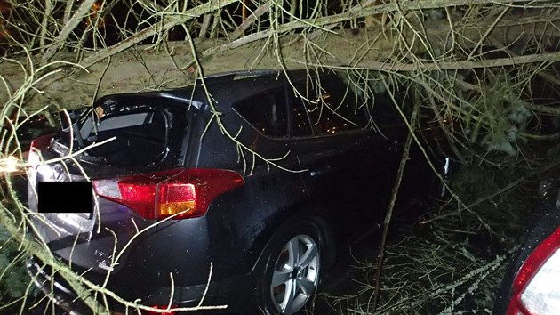 Vítr v Karlovarském kraji lámal stromy, ty spadly na několik aut.
