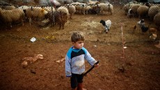 Uprchlický tábor Kelbit v syrské provincii Idlíb nedaleko hranice Turecka (17....