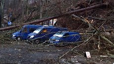 Vítr v Karlovarském kraji lámal stromy, ty spadly na n�kolik aut.