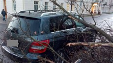 Vítr v Karlovarském kraji lámal stromy, ty spadly na několik aut.