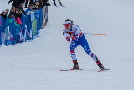 eská bkyn na lyích Petra Nováková bhem závodu na 10 km hromadným startem...