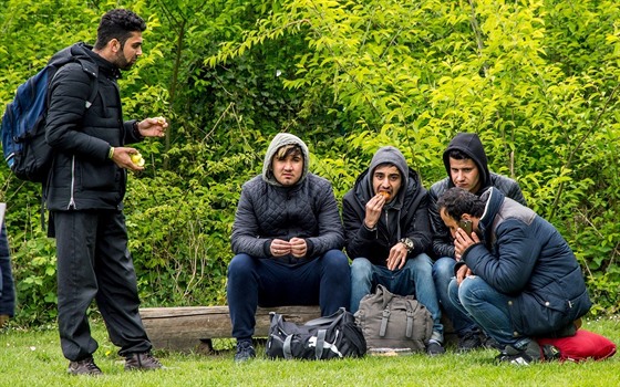 Žadatelé o azyl v oblasti okolo Calais a Dunkerku žijí v lesích v...