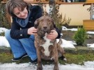 Kříženec labradora Bojar byl týraný, dnes je šťastný u nových páníčků v...